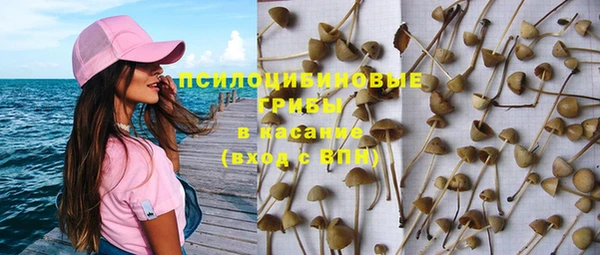 скорость Баксан