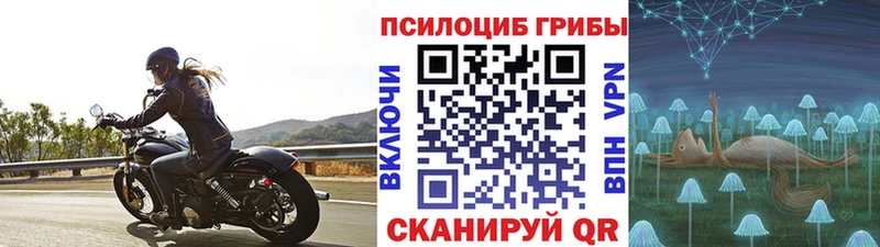 купить наркотики цена  Белокуриха  Галлюциногенные грибы ЛСД 
